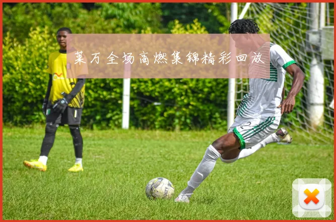 莱万全场高燃集锦精彩回放