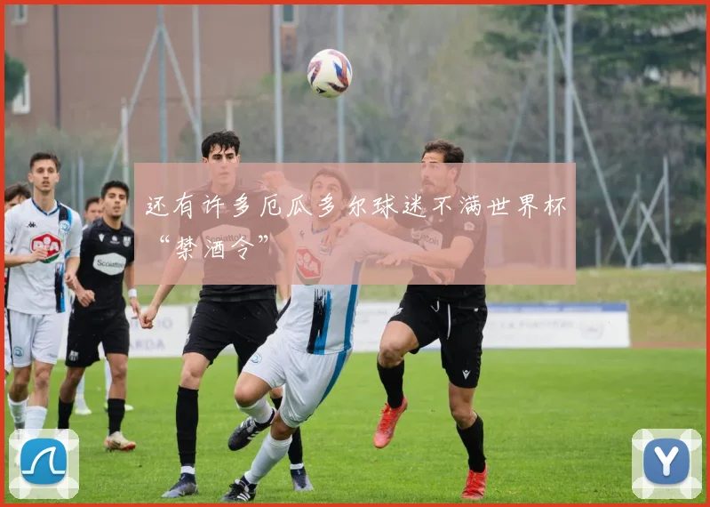 还有许多厄瓜多尔球迷不满世界杯“禁酒令”