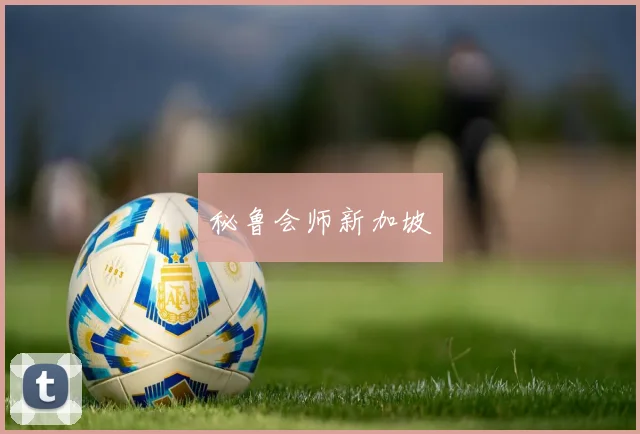 秘鲁会师新加坡