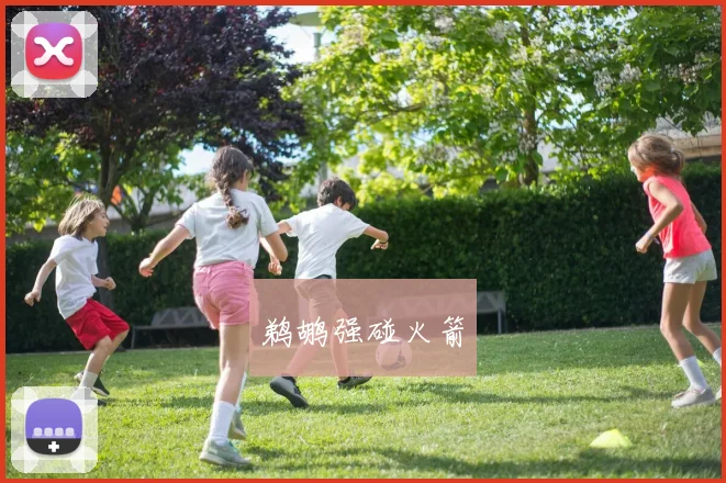 鹈鹕强碰火箭