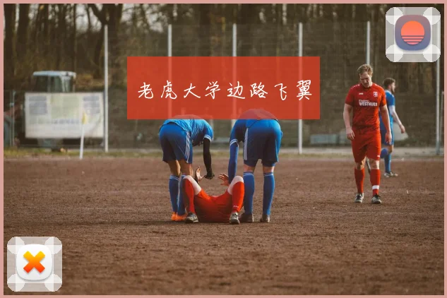 老虎大学边路飞翼