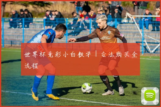 世界杯竞彩小白教学｜合法购买全流程