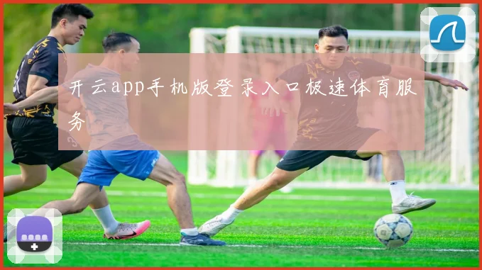 开云app手机版登录入口极速体育服务