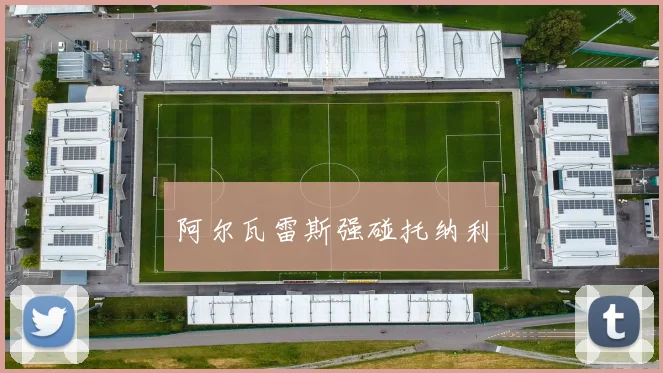 阿尔瓦雷斯强碰托纳利