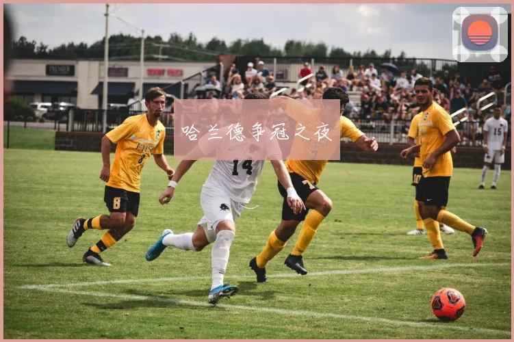 哈兰德争冠之夜