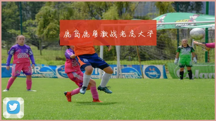 鹿岛鹿角激战老虎大学
