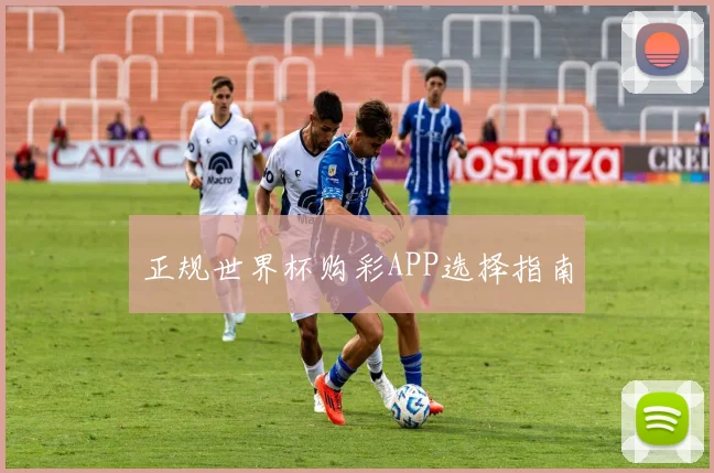正规世界杯购彩APP选择指南