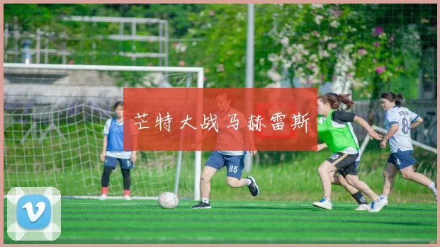 芒特大战马赫雷斯