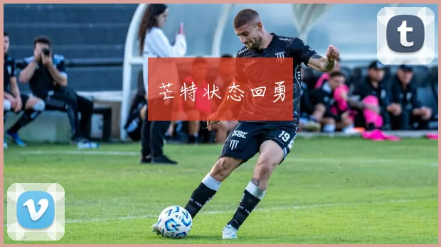 芒特状态回勇