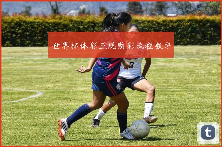世界杯体彩正规购彩流程教学