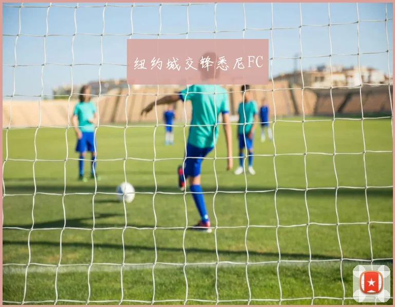 纽约城交锋悉尼FC