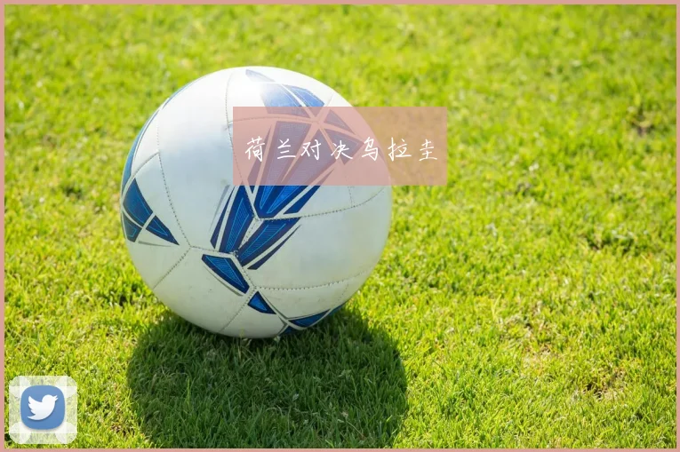 荷兰对决乌拉圭