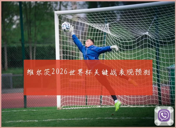维尔茨2026世界杯关键战表现预测