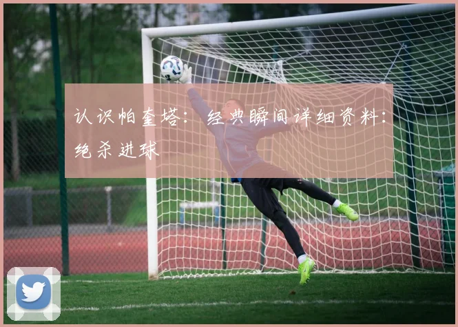 认识帕奎塔:经典瞬间详细资料:绝杀进球