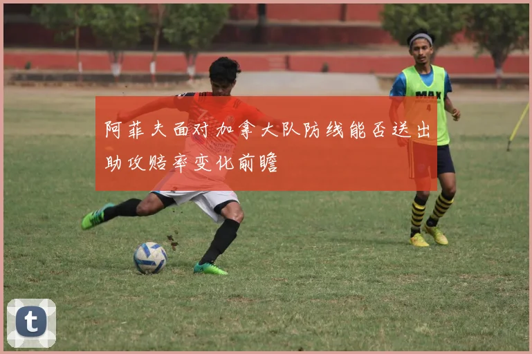 阿菲夫面对加拿大队防线能否送出助攻赔率变化前瞻