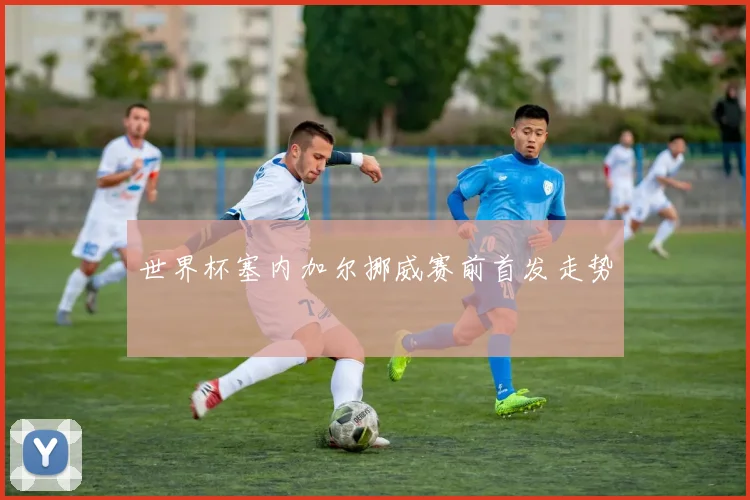 世界杯塞内加尔挪威赛前首发走势